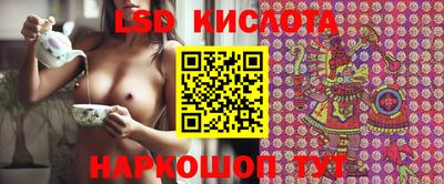 стаф Малгобек