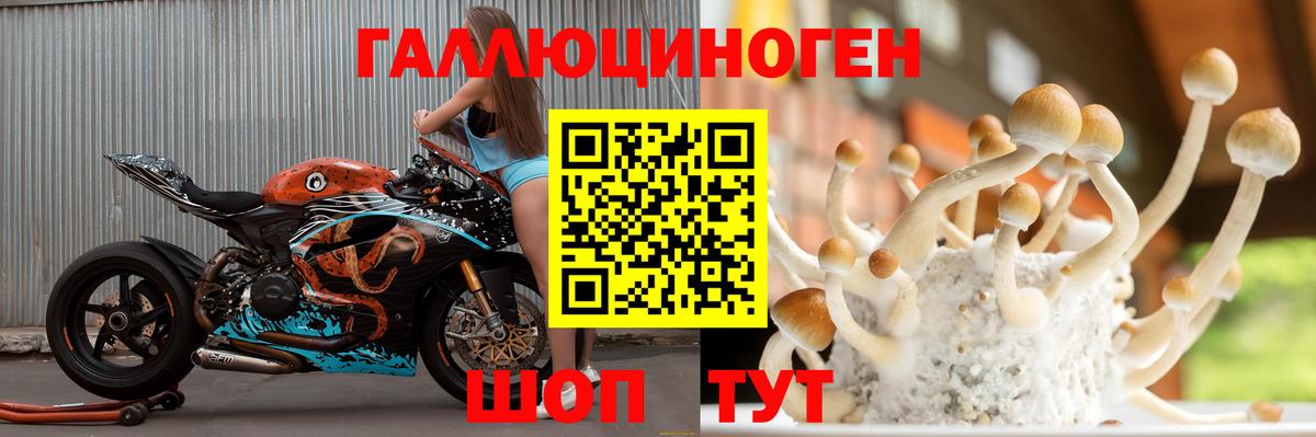цены   Галлюциногенные грибы Psilocybe  Вход с VPN  Рузаевка  Псилоцибиновые грибы MAGIC MUSHROOMS 